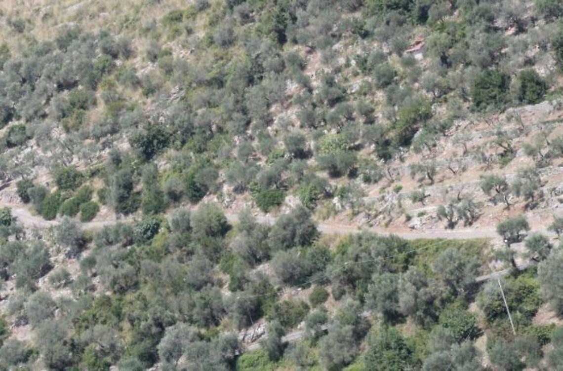 Un progetto per la sicurezza di via Le Rose