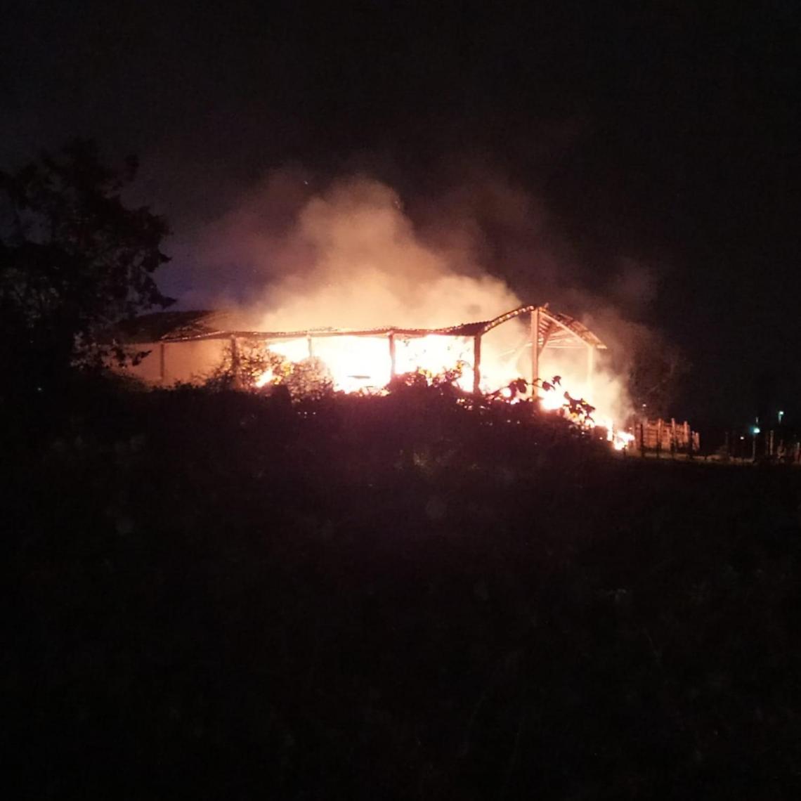 Una stalla in fiamme Animali carbonizzati