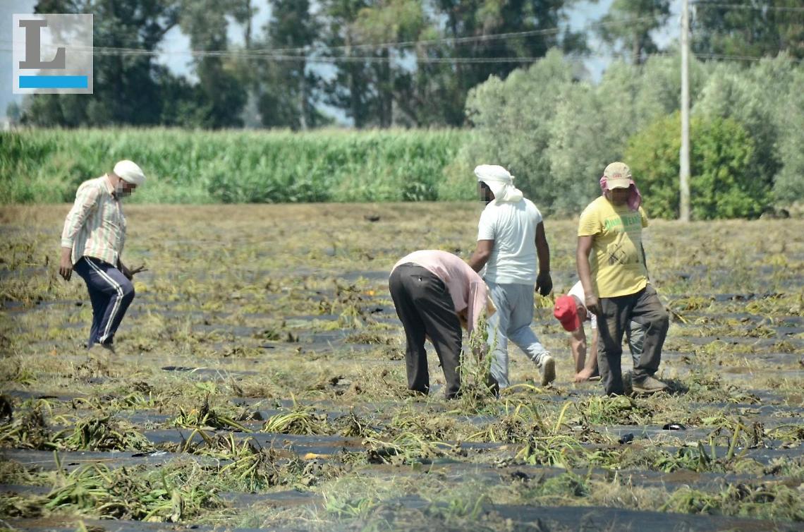 Immigrazione clandestina, assoluzione per madre e figlia