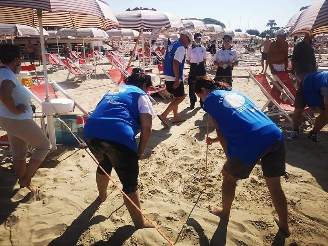 Settimo nido di tartarughe scoperto nel Lazio: si trova a Terracina