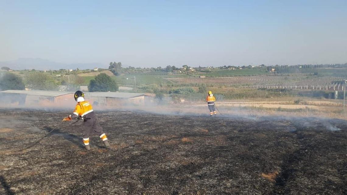 Canile municipale accerchiato dalle fiamme, salvati 70 cani
