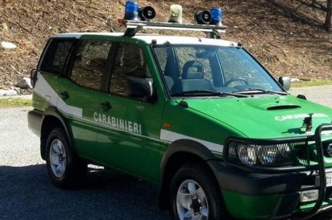 Incendio boschivo, i carabinieri arrestano un 37enne del posto