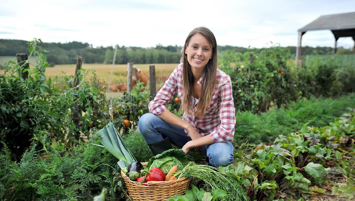 Lavoro, l'esercito dei giovani agricoltori: in piena pandemia crescono dell'8%