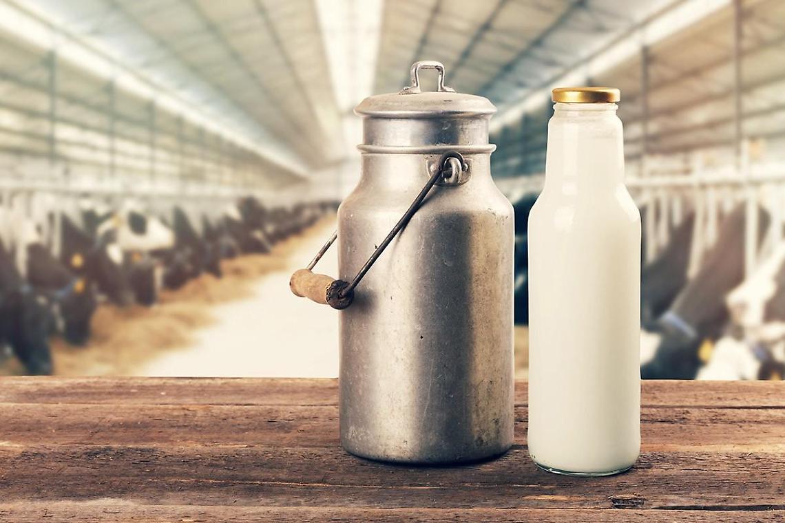 Prezzo del latte alla stalla, Confagricoltura: "Aumenti necessari"