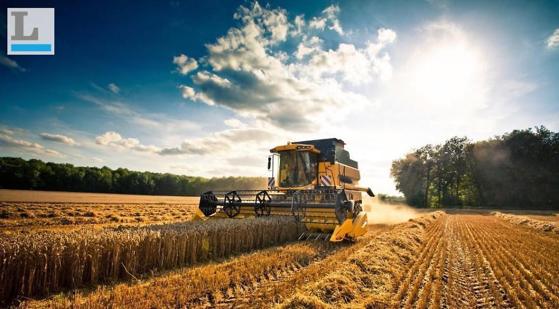La folle corsa ad acquistare terreni agricoli... ad ogni costo
