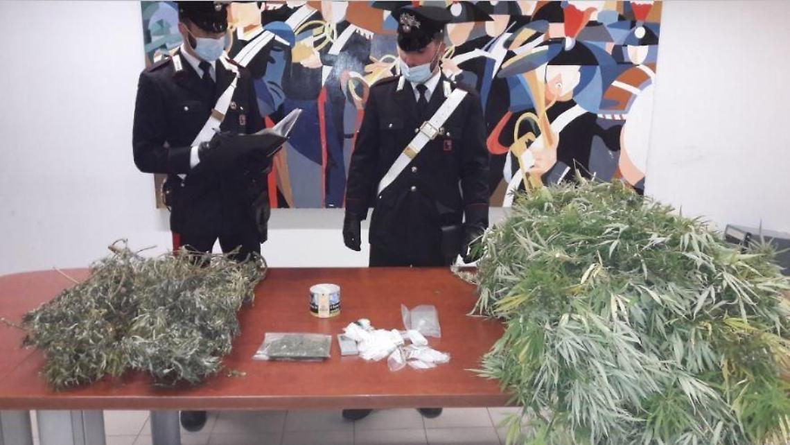 Traffico di droga, sequestrati 14 chili di marijuana. Un arresto