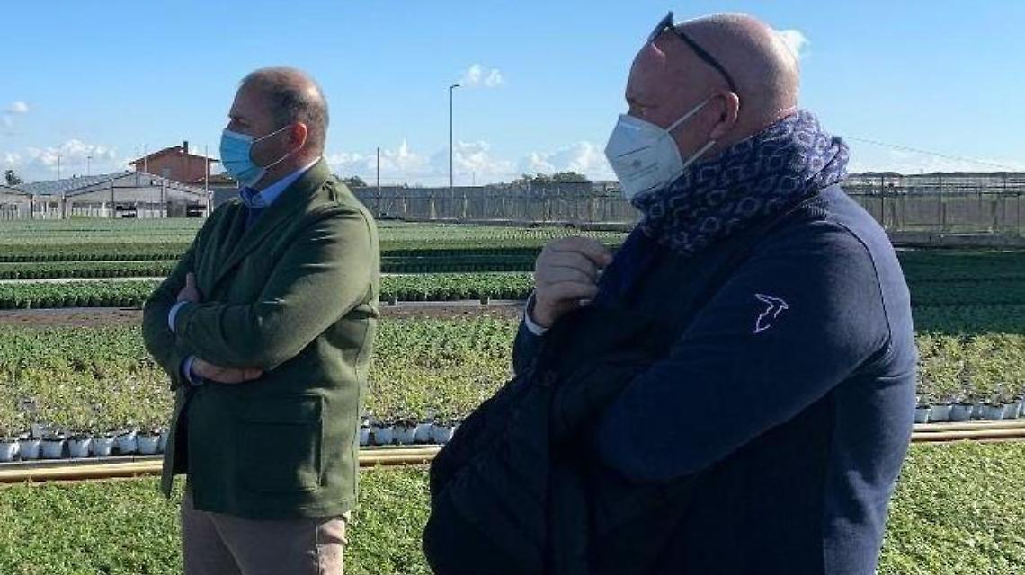 Confagricoltura lancia l'allarme: "Carenza di forza lavoro"
