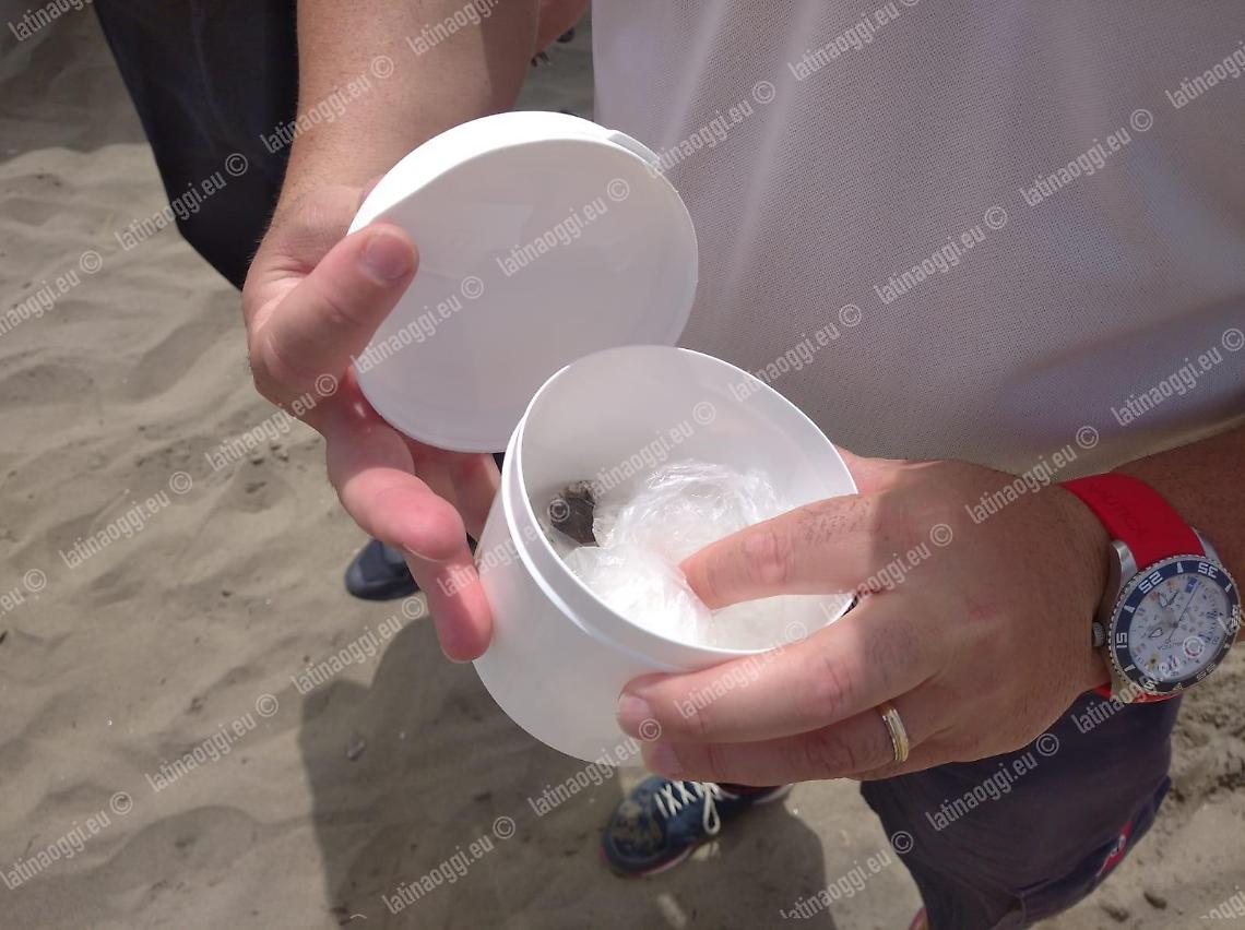 Organi animali in mare,   l'ipotesi vermi per la pesca