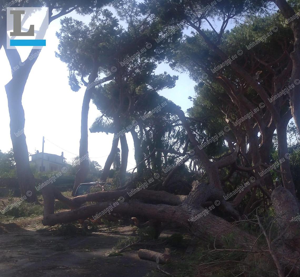 Tromba d'aria, Appia chiusa per 8 chilometri per rimuovere i pini
