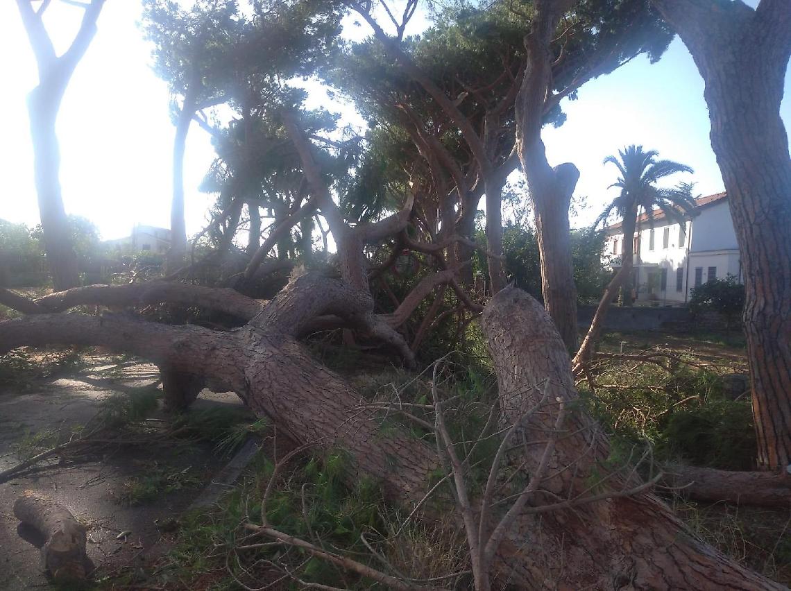 Tromba d'aria, riaperta l'Appia. Adesso si contano i danni del maltempo