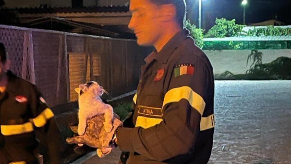 Gattino salvato dai Vigili del Fuoco, i ringraziamenti del sindaco Mosca