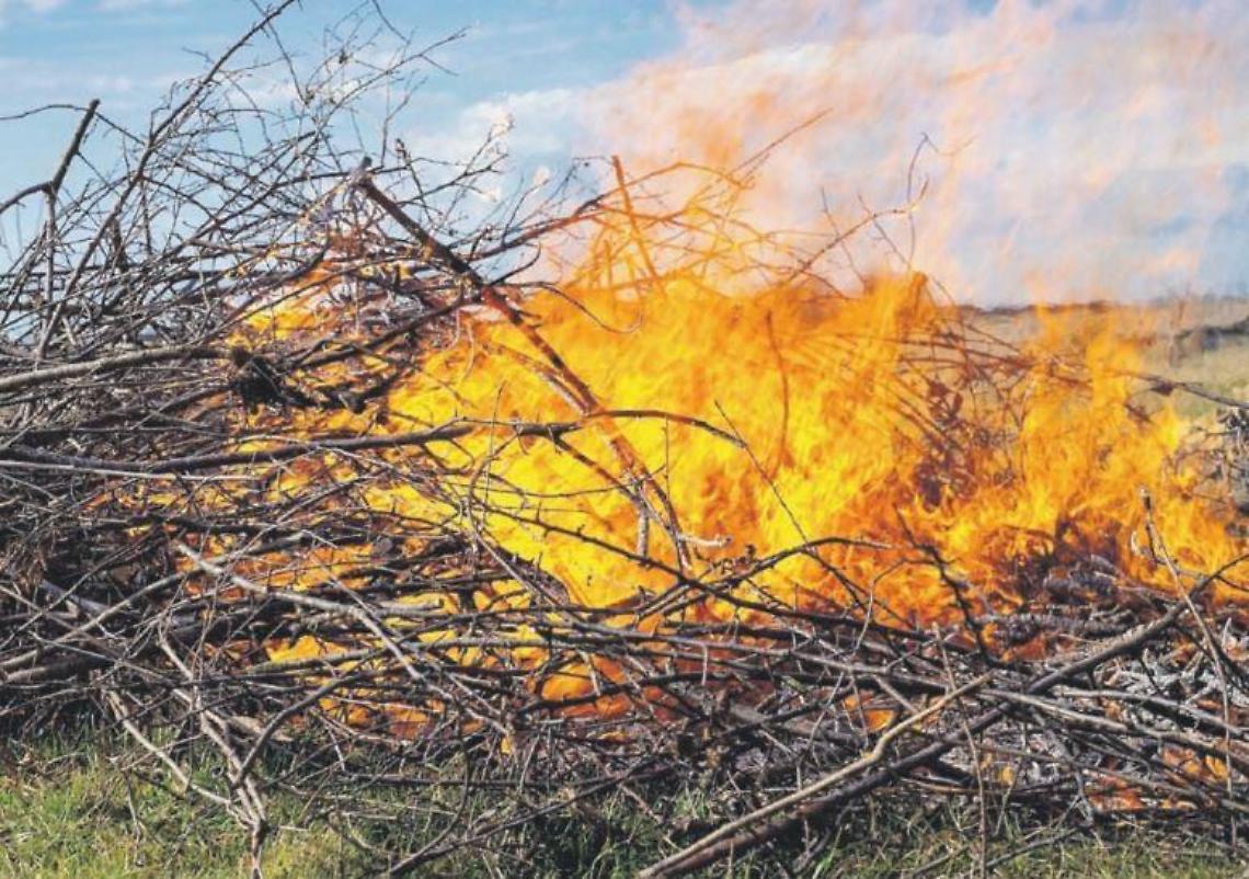 Brucia le sterpaglie nell'oliveto, muore ustionata dalle erbacce