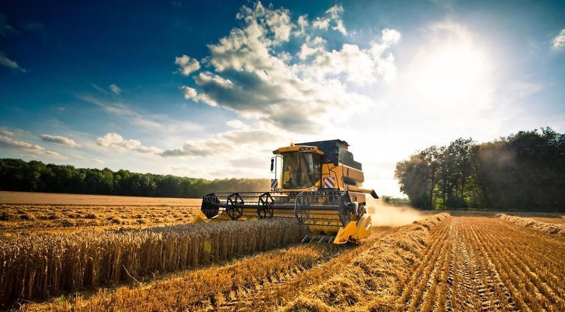 Agricoltura, Onorati: "Destinati 39 milioni agli agricoltori del Lazio"