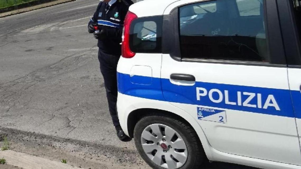 Investe e uccide una bufaletta su via Selciatella