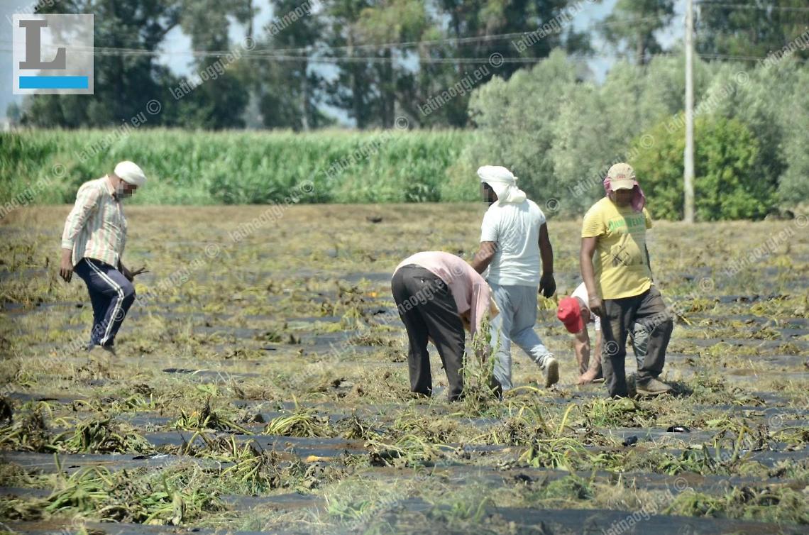 Caporalato: risarcito il bracciante indiano vittima di aggressione nel 2020
