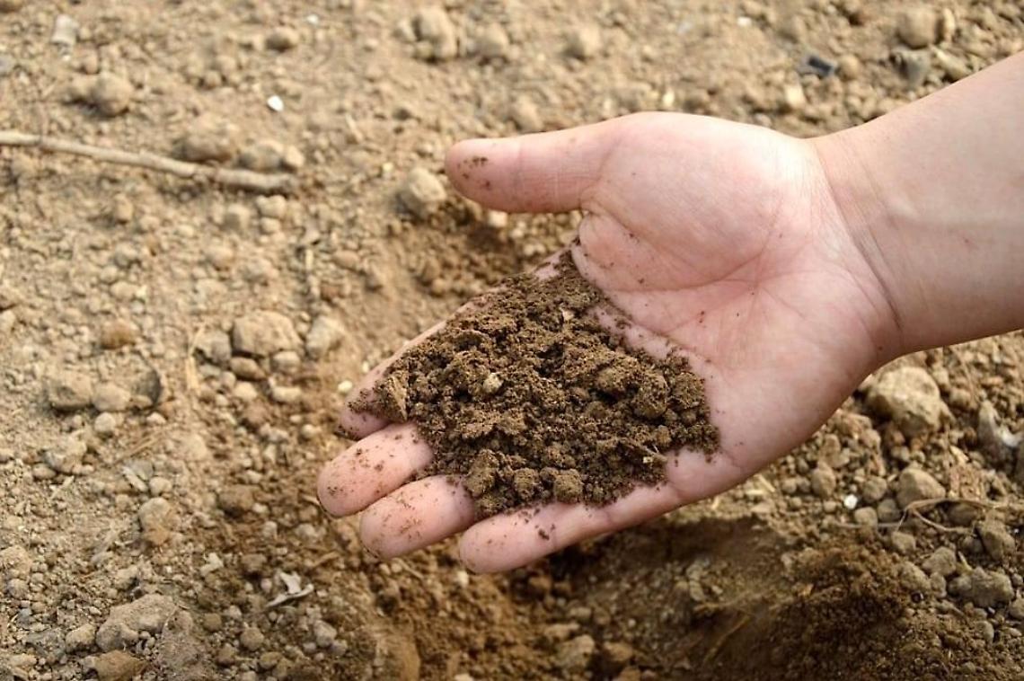 Siccità nell'agro pontino, l'Ugl: "Necessario uno sforzo maggiore"
