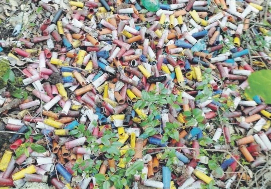 Una distesa di cartucce nel Parco