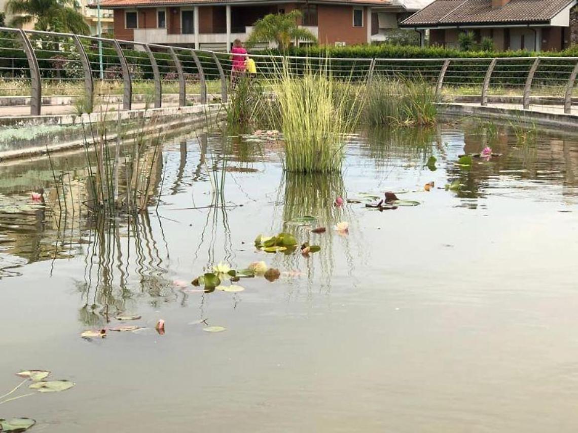 Laghetto del parco San Marco, presto l'incontro con le associazioni
