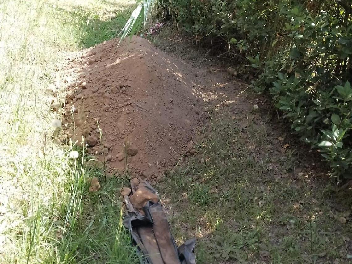 Carcasse di animali selvatici sulle strade, lo scaricabarile per la rimozione