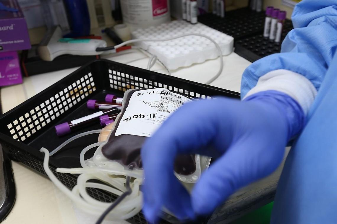 Tutti a donare sangue per aiutare Daniele