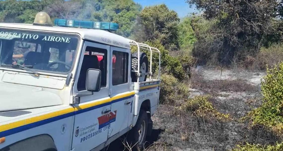 Fiamme sul lungomare, distrutti ettari di verde