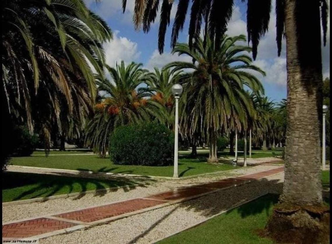 Piazza Roma "in origine", una petizione per restituire lo spazio ai cittadini