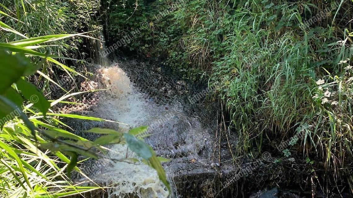 Miasmi e liquami sospetti nel fosso