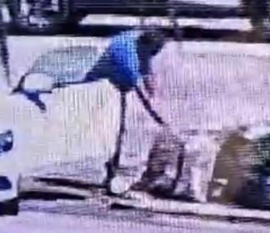 Abbandono rifiuti, nuove denunce e sanzioni: controlli intensificati