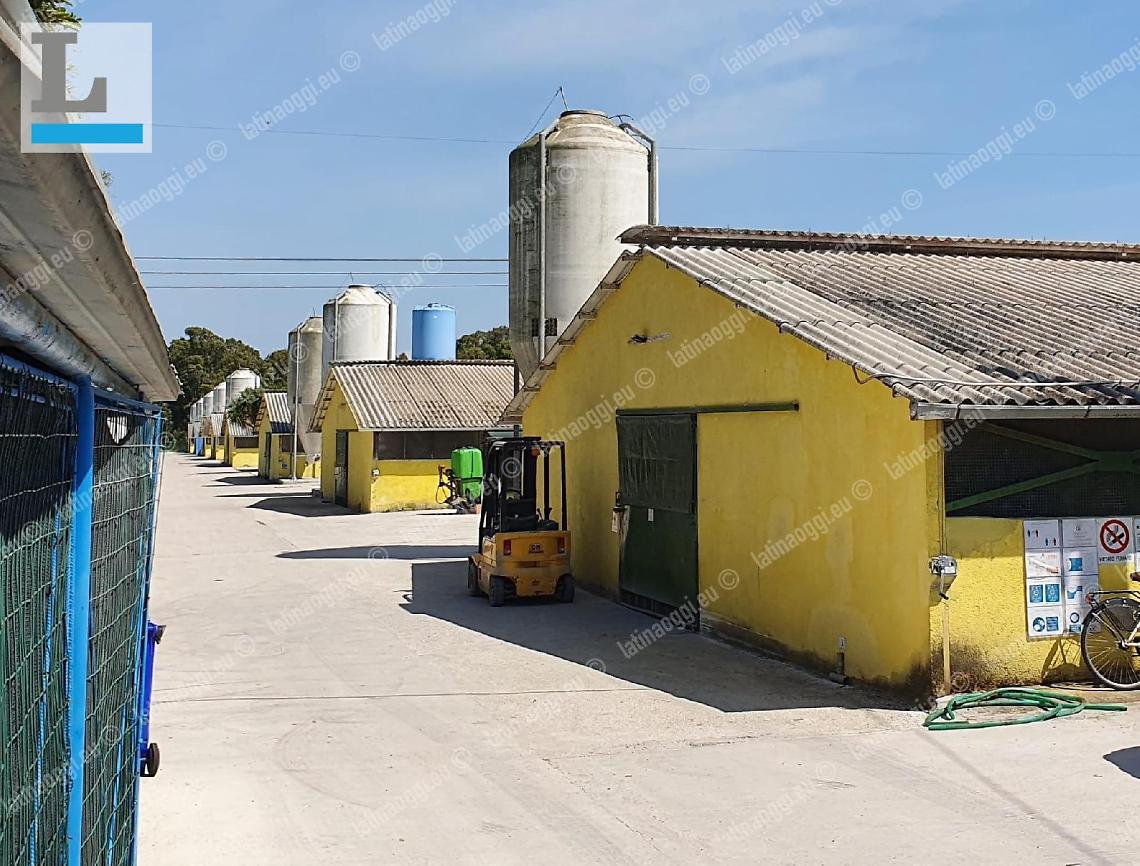 Pollificio, tornano i disagi, i cittadini ascoltati in Commissione
