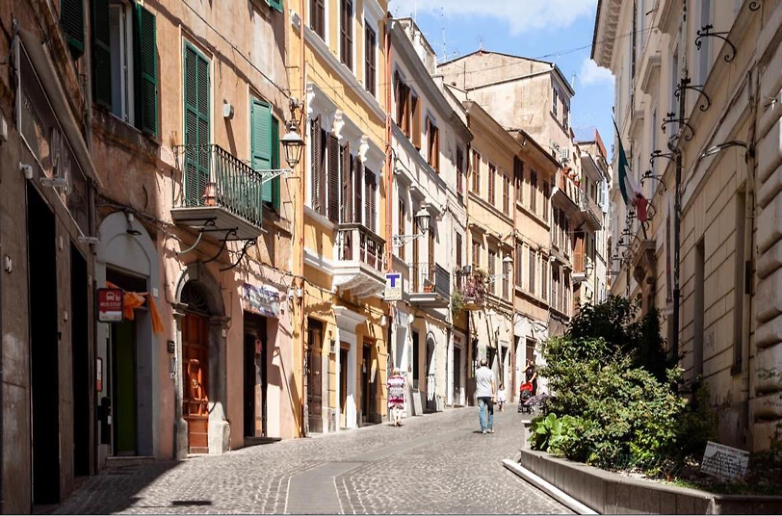 Morsa da un cane mentre passeggia in centro