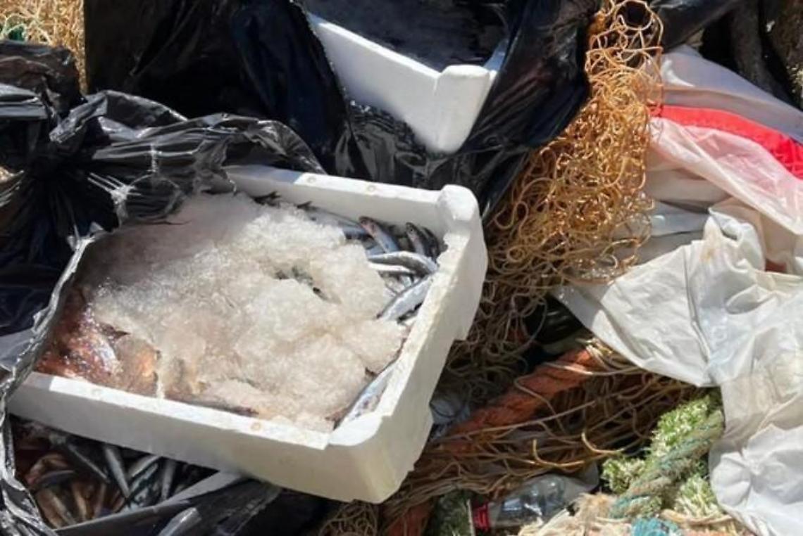 Un quintale e mezzo di pesce sequestrato
