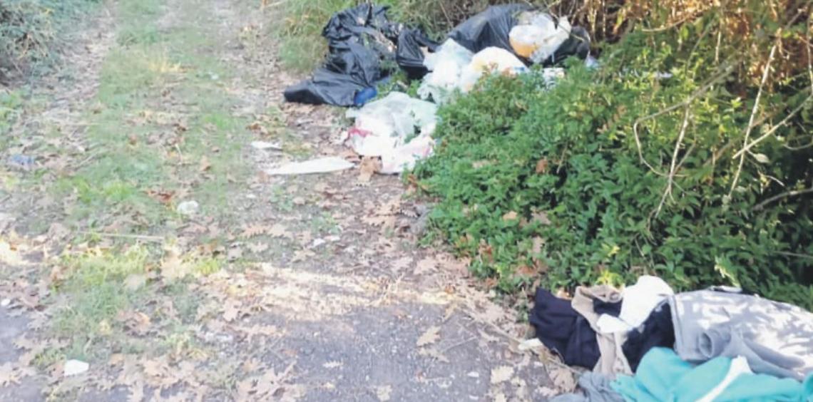 Discarica a cielo aperto nel bosco di Fossanova