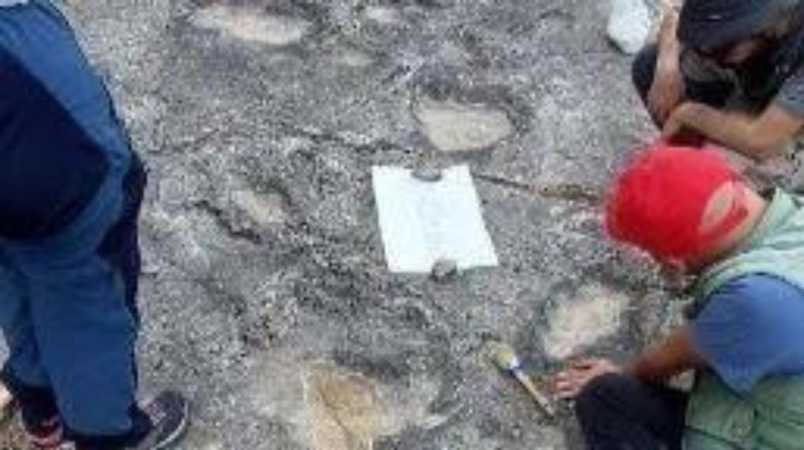 Sezze, impronte dei dinosauri: lo stato dell'arte