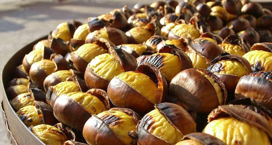 Castagne dei Monti Lepini, le sagre di cinque paesi