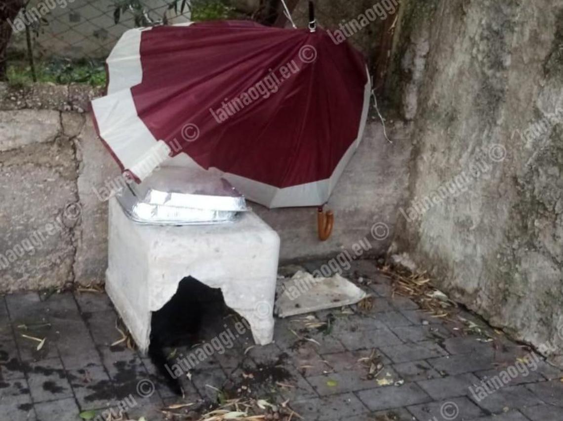 Sospetto avvelenamento di gatti, la nuova segnalazione