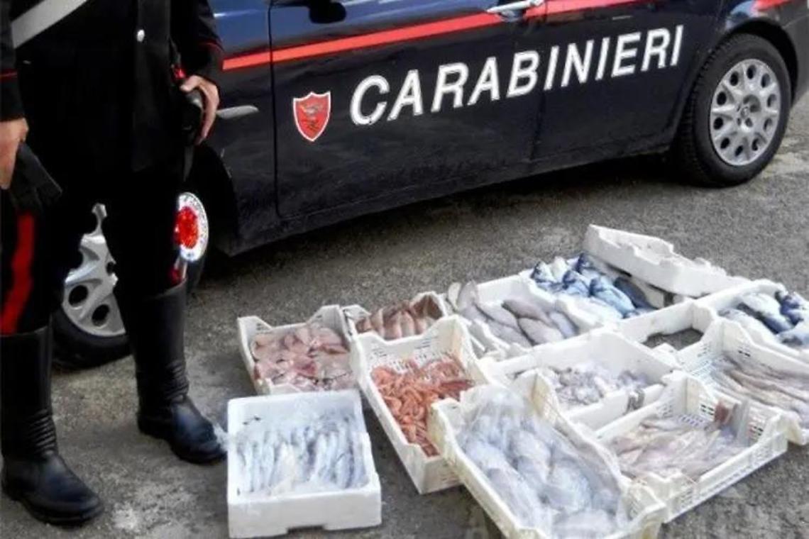 Sequestrati 30 chili di pesce senza documentazione di tracciabilità