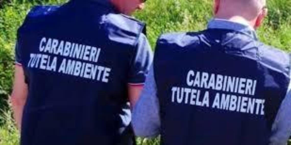 Deferiti i rappresentanti di un'azienda Agricola per inadempienze alle normative