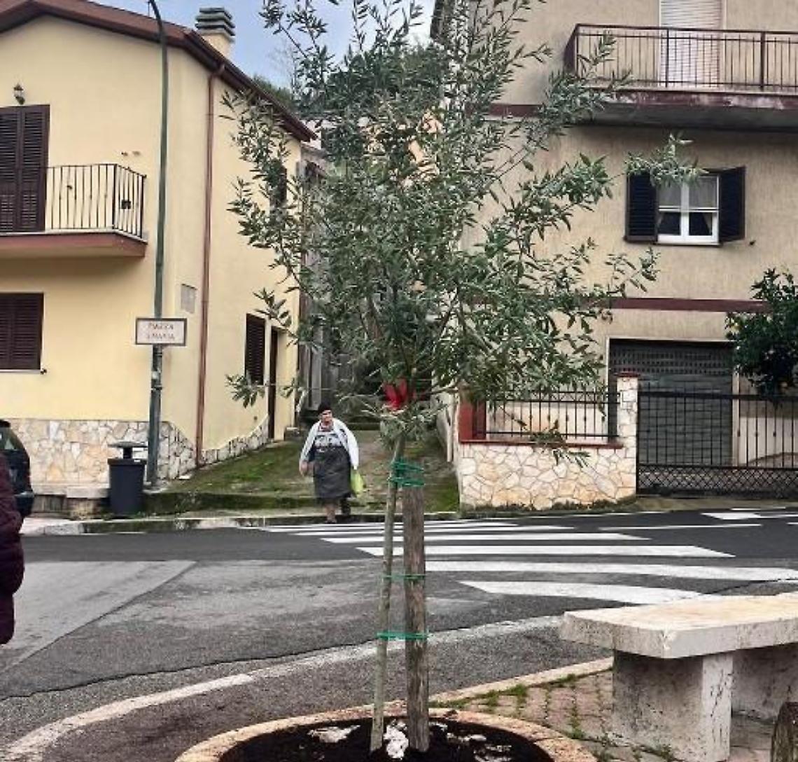 Festa dell'albero dedicata a Giulia Cecchettin