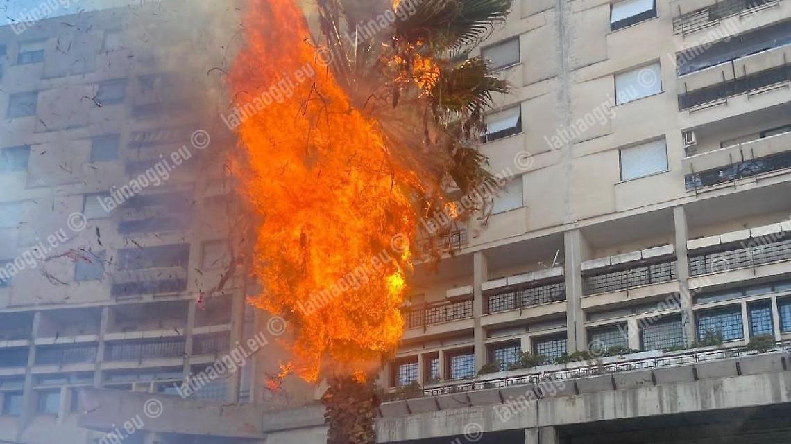 Palme di via Bruxelles in fiamme, Vigili del Fuoco al lavoro