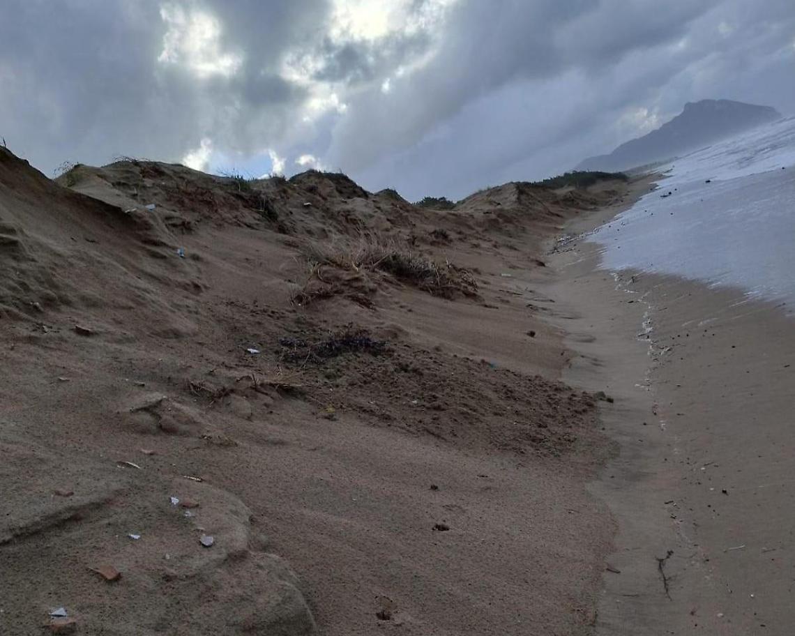 Duna divorata, danni inestimabili