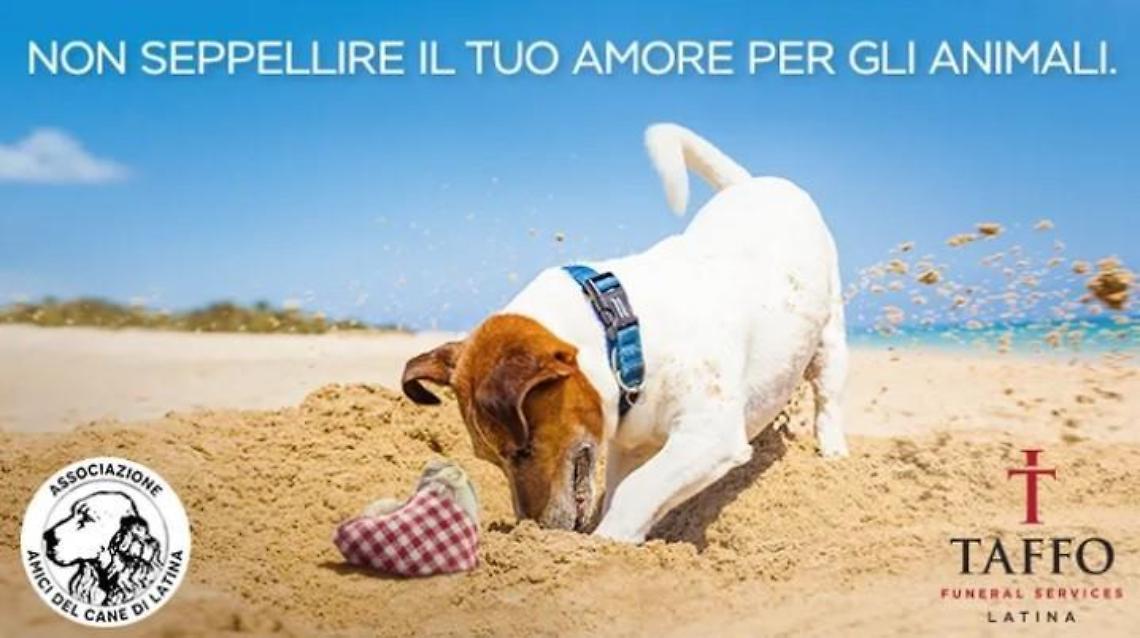 A Natale non seppellire il tuo amore per gli animali