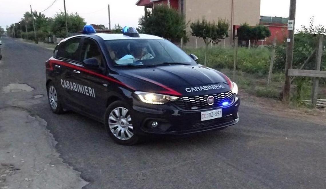 Combattimenti clandestini tra cani, denunciate due persone