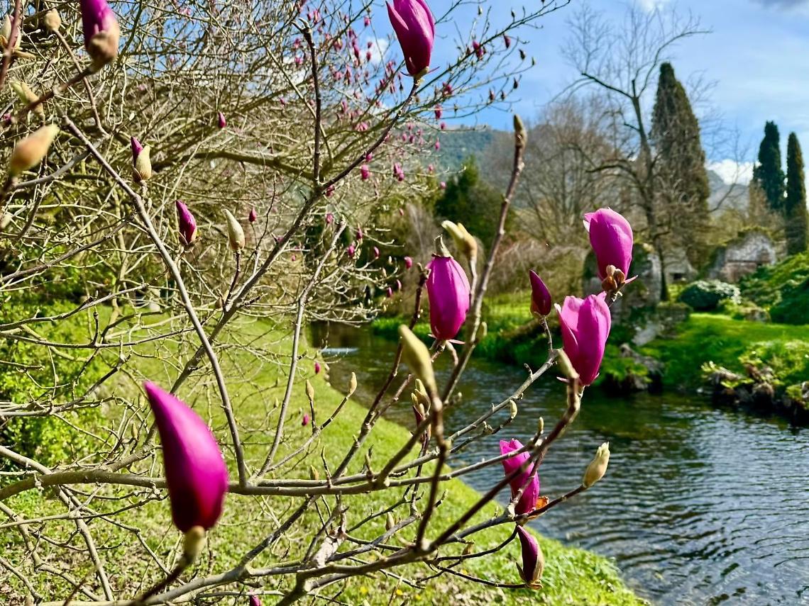 Il Giardino di Ninfa riapre al pubblico