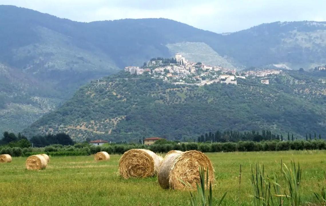 Il Comune a sostegno degli agricoltori: le richieste a Regione e Governo