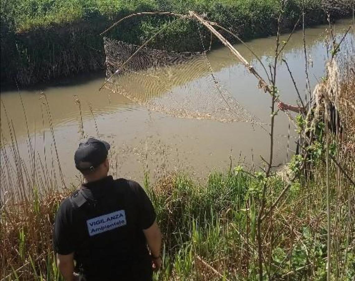 Pesca senza regole, i controlli delle guardie ittiche