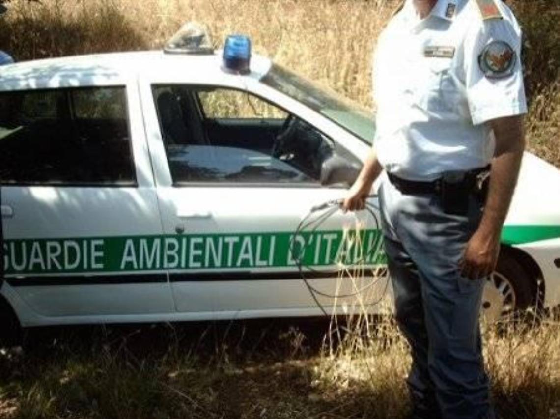 Dal controllo delle aree verdi in paese a quello delle zone protette arrivano le guardie ambientali