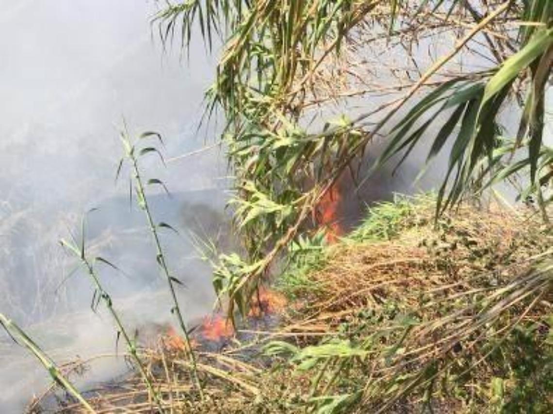 Manutenzione dei terreni incolti e prevenzione incendi, il Comune emana le ordinanze
