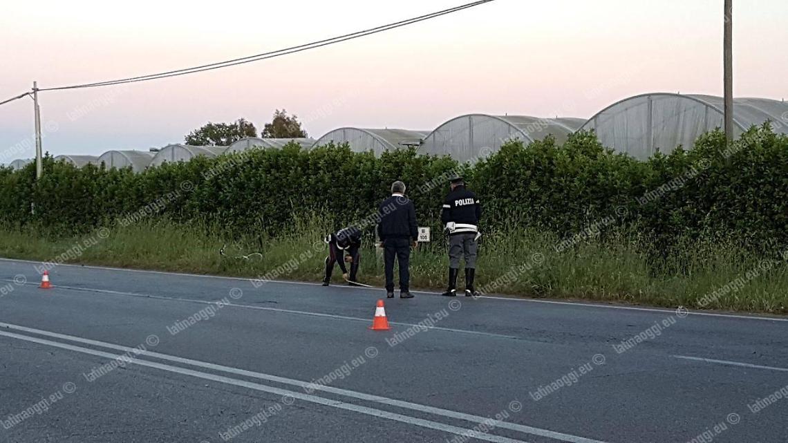 Identificato e arrestato il pirata della strada che ha travolto e ucciso il bracciante indiano