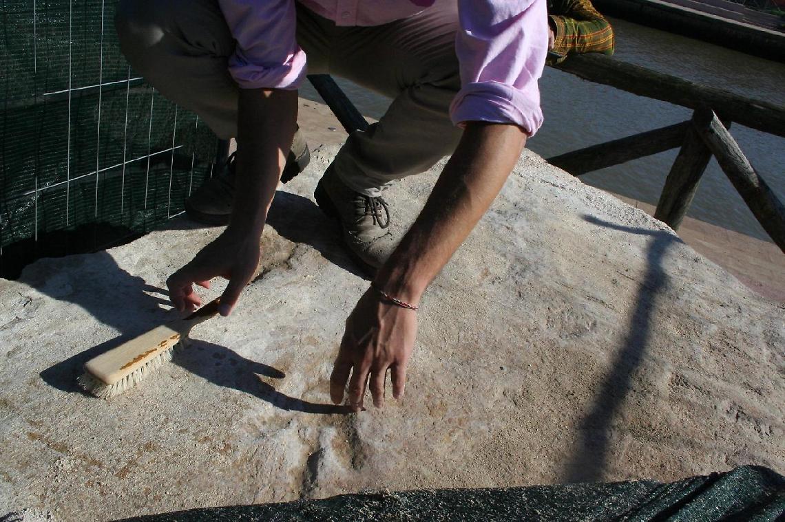 L'orma del dinosauro fa litigare le amministrazioni di Latina e Terracina