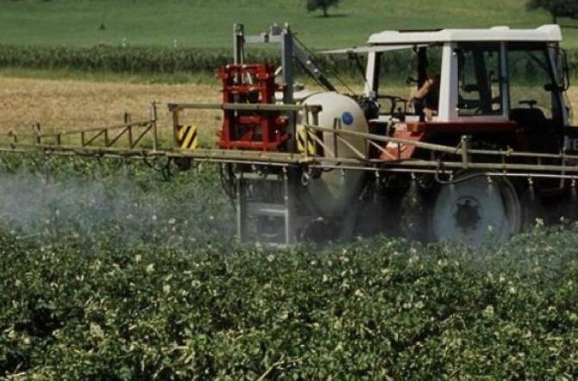 Danni all'agricoltura dopo le gelate, Secci chiede un intervento al commissario straordinario